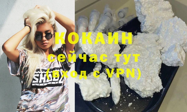 кокс Вяземский