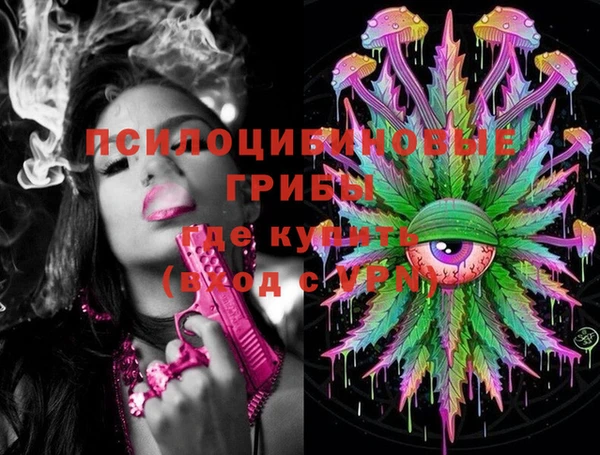 кокс Вяземский