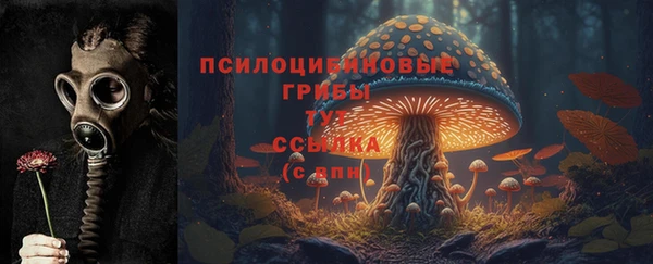 шишки Вязьма
