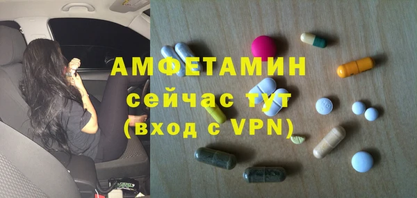 шишки Вязьма
