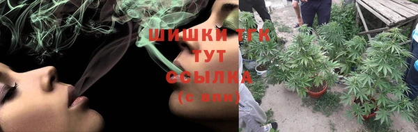 шишки Вязьма