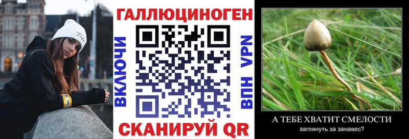 Галлюциногенные грибы Magic Shrooms  что такое наркотик  Павловская 